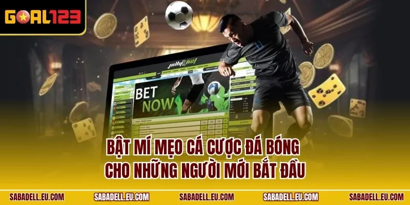 Bật mí mẹo cá cược đá bóng cho những người mới bắt đầu